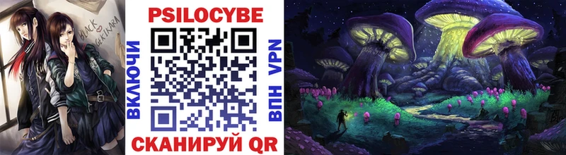 Псилоцибиновые грибы Psilocybine cubensis  МЕГА вход  Шумерля  что такое  